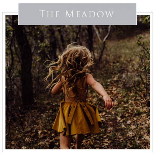 The Meadow