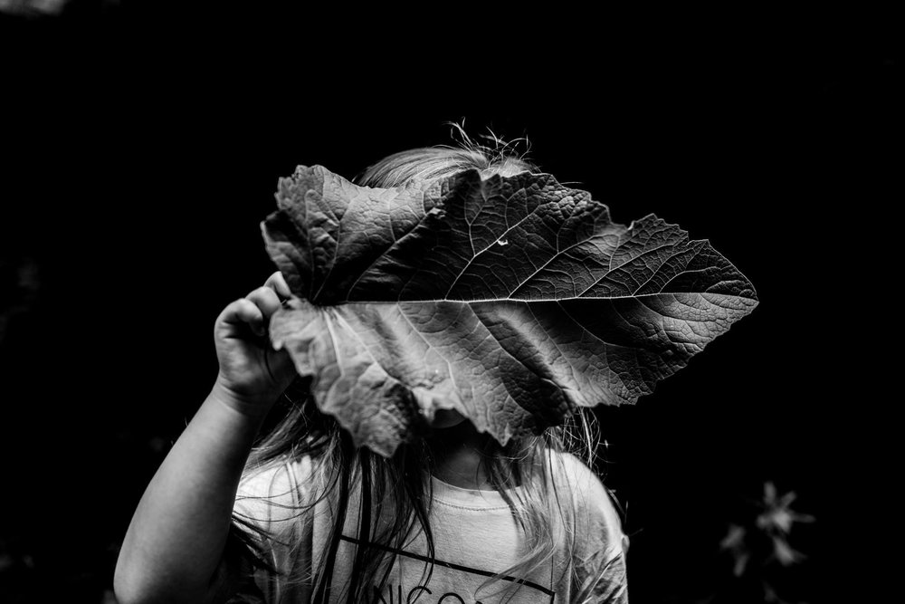 Weird images by Twyla Jones Photography, Weird images, Weird photos, Weird photography
