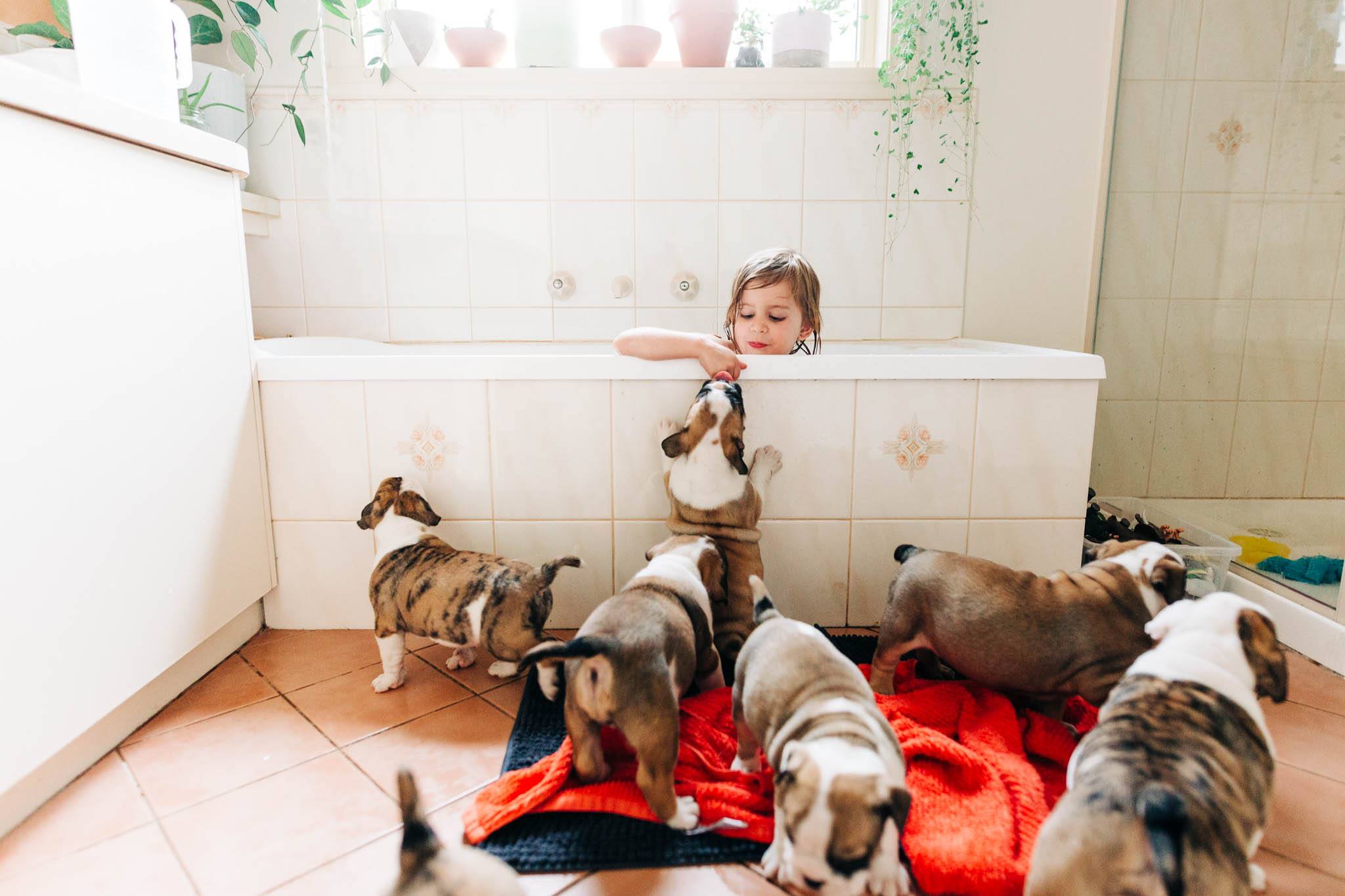 Features by Twyla Jones, Images with So Fresh So Clean, So Fresh So Clean images