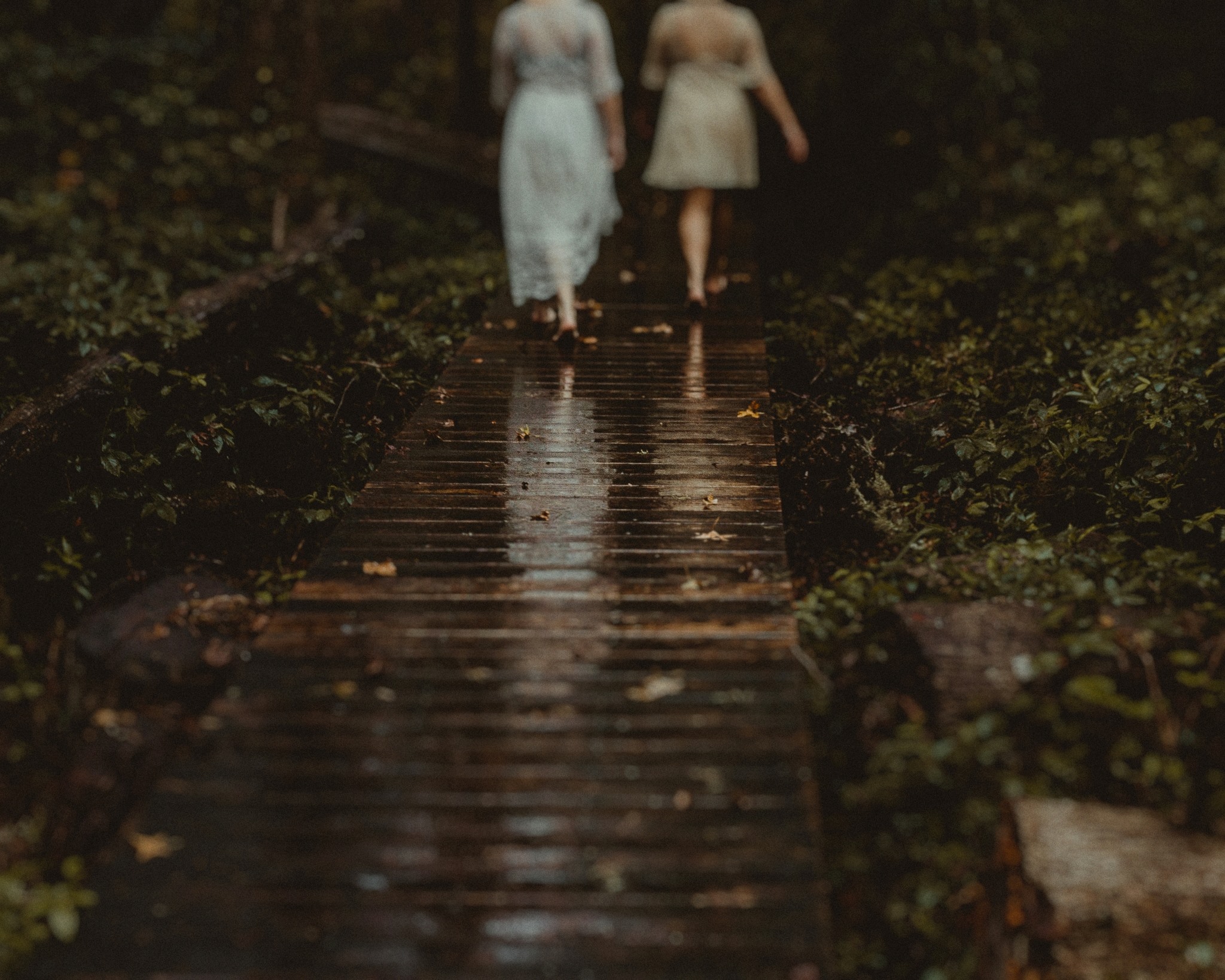 Haunted light Features by Twyla Jones, Haunted light images