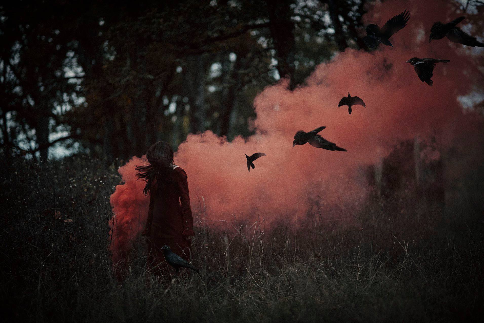 Haunted light Features by Twyla Jones, Haunted light images