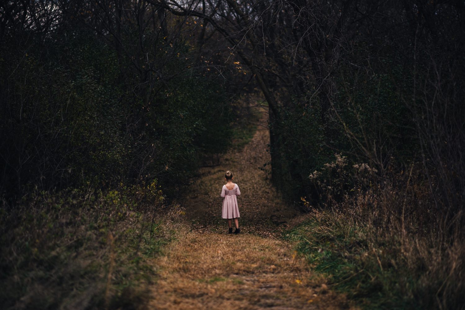 Haunted light Features by Twyla Jones, Haunted light images