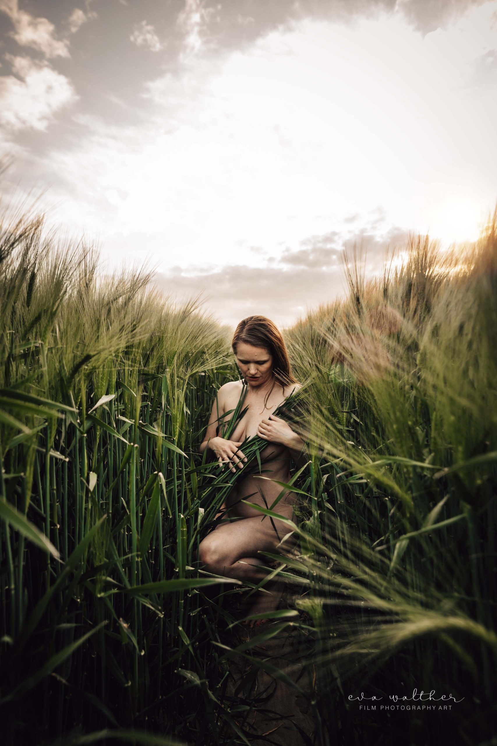 backlit nude self portraits woman in tall green wheat
