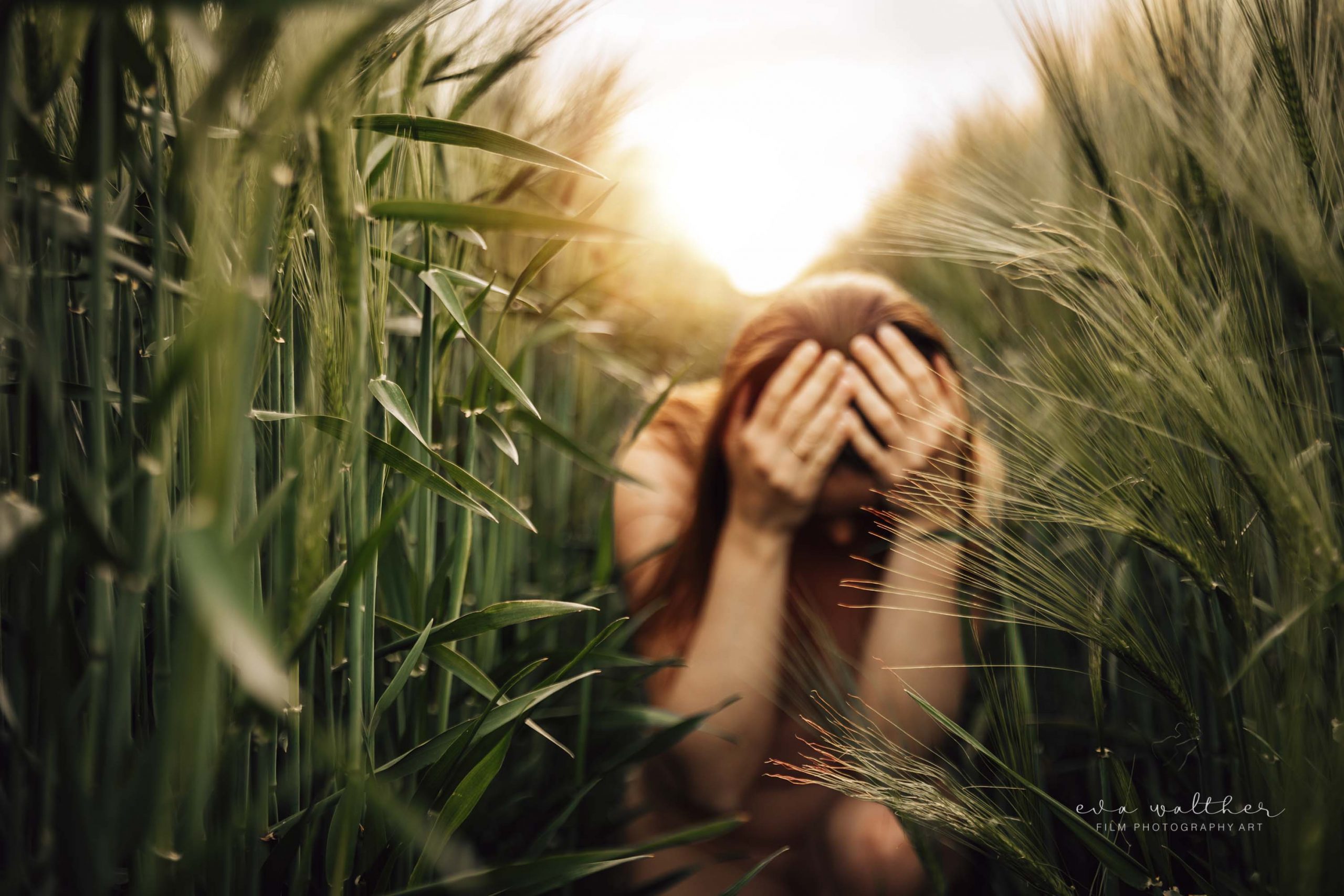 backlit nude self portraits woman in tall green wheat