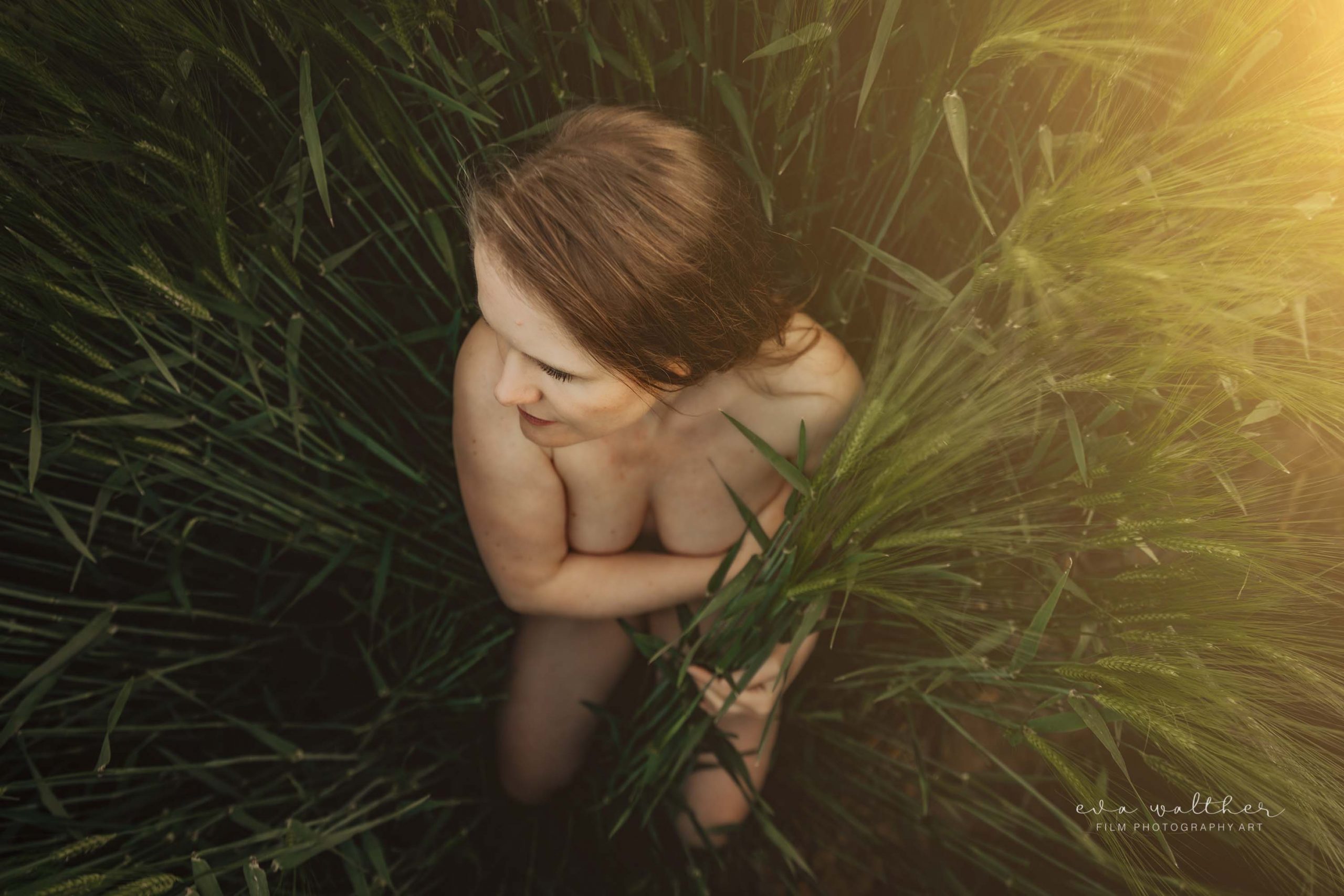 backlit nude self portraits woman in tall green wheat
