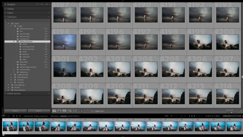 Screenshot of a Lightroom gallery